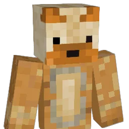Aronka187 Minecraft avatar bust
