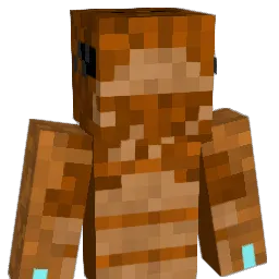 Arrowx1113