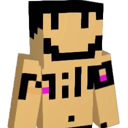 ArtZ_30 Minecraft avatar bust