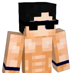 ArticRonin Minecraft avatar bust