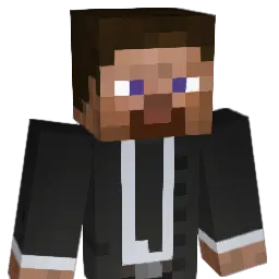 Arv1dF Minecraft avatar bust