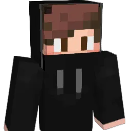 Arvidskywalker06 Minecraft avatar bust