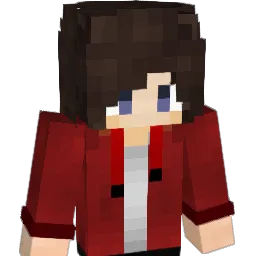 Arya_Mehr Minecraft avatar bust