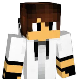 Aryjr1231 Minecraft avatar bust