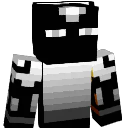 Asher63 Minecraft avatar bust