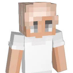 Ashleysmall Minecraft avatar bust