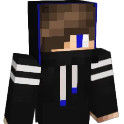 AskANinja Minecraft avatar bust