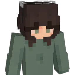Asle_ Minecraft avatar bust