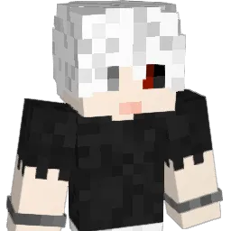 Asopro1071 Minecraft avatar bust