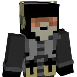 AssassinFox255's Minecraft skin
