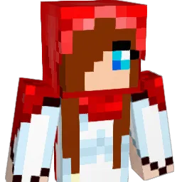Asser2007 Minecraft avatar bust