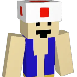 Assesses Minecraft avatar bust