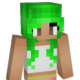 Astra5689 Minecraft avatar bust