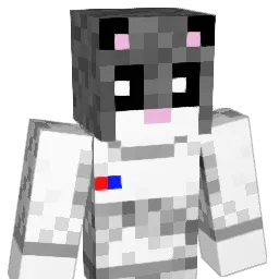 AstroKittens Minecraft avatar bust