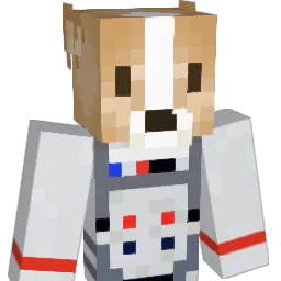 Astru_ Minecraft avatar bust