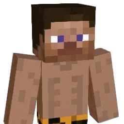 Aswh0le Minecraft avatar bust
