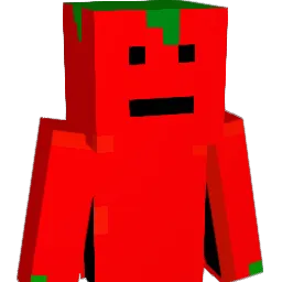 AtoTomato Minecraft avatar bust