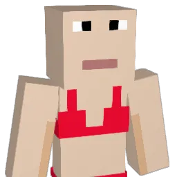 AuggieQT3012 Minecraft avatar bust