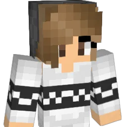 Aurora_North13 Minecraft avatar bust