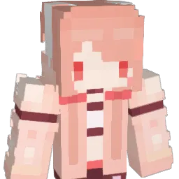AustinRiperton Minecraft avatar bust