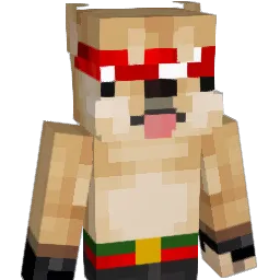 AustinXD