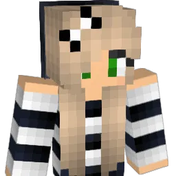 Ava_L_123 Minecraft avatar bust