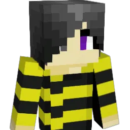Avarise25 Minecraft avatar bust