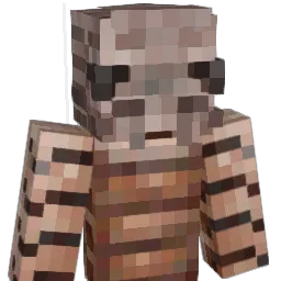 AverageWalrus Minecraft avatar bust