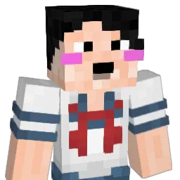 AvoidedAlpaca42 Minecraft avatar bust