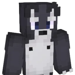 Avokatto