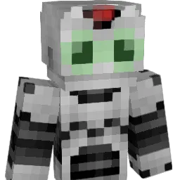 Awesome0215 Minecraft avatar bust