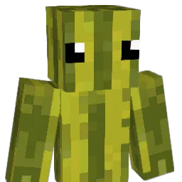 Awesome2011 Minecraft avatar bust