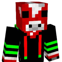 AwesomeFace1206 Minecraft avatar bust