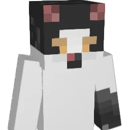 Axolotlz11 Minecraft avatar bust