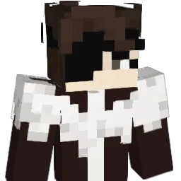 Ayase_Sakiii Minecraft avatar bust