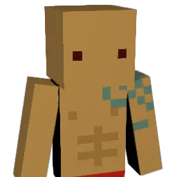 B00F__ Minecraft avatar bust