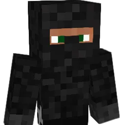 B0_ss Minecraft avatar bust