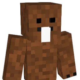 B0br2137 Minecraft avatar bust