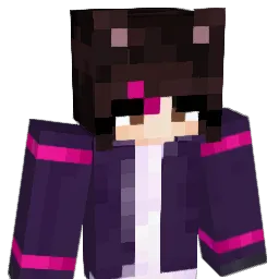 B1NKN3Y Minecraft avatar bust