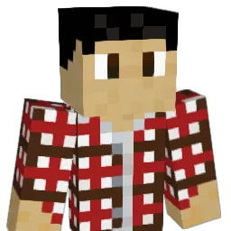 B292Tom Minecraft avatar bust
