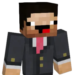 B33R95 Minecraft avatar bust