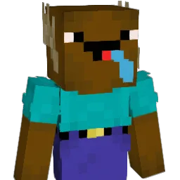 B3ar426 Minecraft avatar bust