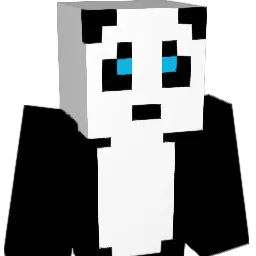 B3nXx05 Minecraft avatar bust