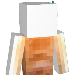BABYC8 Minecraft avatar bust