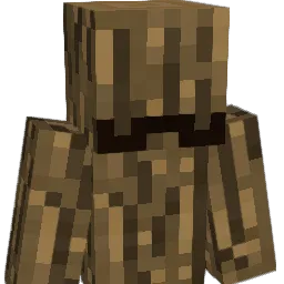 BAGSB10's Minecraft skin