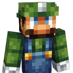 BAGz503 Minecraft avatar bust