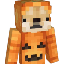BAKLAVAENJOYERS Minecraft avatar bust