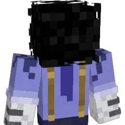 BAM29's Minecraft skin