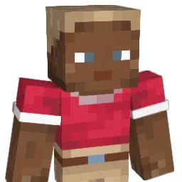 BARBEQUE_BURGA Minecraft avatar bust