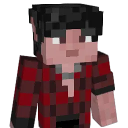 BAR_ON Minecraft avatar bust